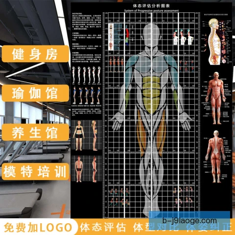 圈操身体形态评估，核心稳定与线条控制并重